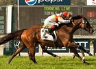 Bourbon Bay wins the San Juan Capistrano.