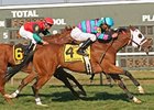 Chamberlain Bridge is the 2-1 favorite in the Twin Spires Turf Sprint Stakes.