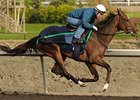 Nipissing preps for the Selene Stakes at Woodbine on May 15.