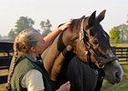 Vincent Timphony, Trained Wild Again, Dies Vincent Timphony, Trained Wild Again, Dies