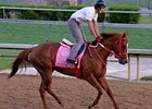 Awesome Chic training earlier this week at Churchill Downs.