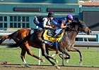 Game On Dude Expected to Run in Native Diver Game On Dude Expected to Run in Native Diver