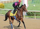 Minority Interest in Bodemeister Sold Minority Interest in Bodemeister Sold