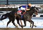 Calibrachoa won the 2011 Toboggan by a half-length.<br><a target="blank" href="http://www.bloodhorse.com/horse-racing/photo-store?ref=http%3A%2F%2Fpictopia.com%2Fperl%2Fgal%3Fprovider_id%3D368%26ptp_photo_id%3D9379588%26ref%3Dstory">Order This Photo</a>