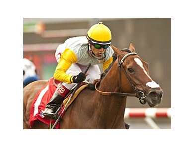 Clenor faces 5 in the Miesque Stakes.