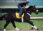 Papa Clem at Churchill Downs prior to the Derby.