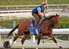 Manhattan Likely for Gio Ponti After Work Manhattan Likely for Gio Ponti After Work