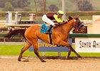 Dearest Trickski runs away with the La Brea.<br><a target="blank" href="http://www.bloodhorse.com/horse-racing/photo-store?ref=http%3A%2F%2Fpictopia.com%2Fperl%2Fgal%3Fprovider_id%3D368%26ptp_photo_id%3D3158162%26ref%3Dstory">Order This Photo</a>