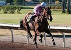 Broken Sword is 1 of 2 entrants for Jerry Hollendorfer in the Bayakoa Stakes.