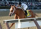 My Miss Sophia will open her 4-year-old campaign in the Doubledogdare Stakes.<br><a target="blank" href="http://photos.bloodhorse.com/AtTheRaces-1/At-the-Races-2014/35724761_2vdnSX#!i=3162558644&k=kjbSgXM">Order This Photo</a>