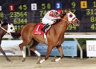 Magic Sunset Scores Premier Feature Magic Sunset Scores Premier Feature
