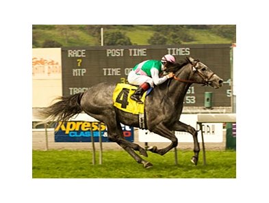 Midships leads them home in the San Luis Rey.<br><a target="blank" href="http://www.bloodhorse.com/horse-racing/photo-store?ref=http%3A%2F%2Fpictopia.com%2Fperl%2Fgal%3Fprovider_id%3D368%26ptp_photo_id%3D7930161%26ref%3Dstory">Order This Photo</a>