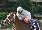 Bayakoa Stakes winner Buy The Barrel tries graded company for the first time in the Allaire DuPont Distaff Stakes.