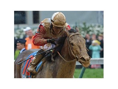Orb<br><a target="blank" href="http://photos.bloodhorse.com/TripleCrown/2013-Triple-Crown/Kentucky-Derby-139/29213460_Rcqkd4#!i=2493606378&k=mbnb4bs">Order This Photo</a>