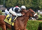 Main Sequence Works at Palm Meadows Main Sequence Works at Palm Meadows