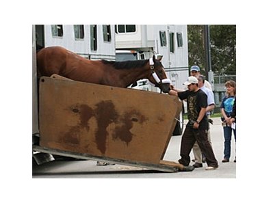 UAE Derby winner Regal Ransom, who arrived at Churchill Downs April 9, will run in the Kentucky Derby.