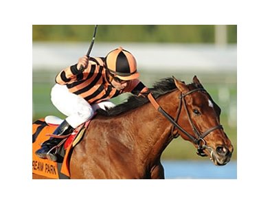 Little Mike looks for his third graded stakes win of the current Gulfstream Park in the Appleton Stakes.<br><a target="blank" href="http://www.bloodhorse.com/horse-racing/photo-store?ref=http%3A%2F%2Fpictopia.com%2Fperl%2Fgal%3Fprovider_id%3D368%26ptp_photo_id%3D9424936%26ref%3Dstory">Order This Photo</a>