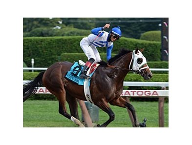 Strong Mandate<br><a target="blank" href="http://photos.bloodhorse.com/AtTheRaces-1/at-the-races-2013/27257665_QgCqdh#!i=2763615901&k=zq3MQHB">Order This Photo</a>