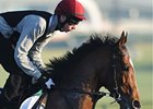 St Nicholas Abbey<br><a target="blank" href="http://photos.bloodhorse.com/AtTheRaces-1/at-the-races-2013/27257665_QgCqdh#!i=2431398880&k=Sf5gHFW">Order This Photo</a>