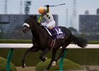 Nihonpiro Ours Easy Winner of Japan Cup Dirt Nihonpiro Ours Easy Winner of Japan Cup Dirt