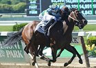 Tiz Miz Sue wins the Ogden Phipps Handicap.
<br><a target="blank" href="http://photos.bloodhorse.com/AtTheRaces-1/at-the-races-2013/27257665_QgCqdh#!i=2538152389&k=L8mbFkv">Order This Photo</a>