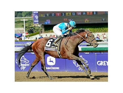 2012 Breeders' Cup Marathon winner Calidoscopio won last year's Clasico Belgrano.<br><a target="blank" href="http://photos.bloodhorse.com/BreedersCup/2012-Breeders-Cup/Marathon/26130229_MsH7Ls#!i=2192123925&k=VftDMwK">Order This Photo</a>