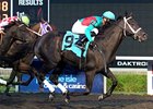 Hogy wins the Presque Isle Mile.