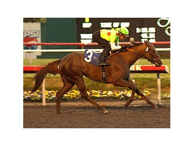 Made To Love Her wins the Moccasin.