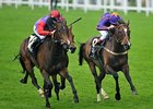 Estimate (left) takes the Gold Cup for The Queen.<br><a target="blank" href="http://photos.bloodhorse.com/AtTheRaces-1/at-the-races-2013/27257665_QgCqdh#!i=2586534437&k=NM67xfM">Order This Photo</a>