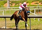 She's a Tiger won the Landaluce Stakes on July 13.
