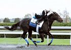 Breeders' Cup Hopefuls on Keeneland Worktab Breeders' Cup Hopefuls on Keeneland Worktab
