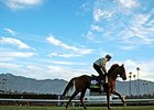 Mustajeeb - Breeders' Cup 2014