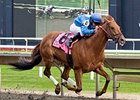 Gran Estreno returns to his favorite track for the Hanshin Cup Stakes.