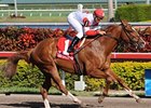 Notonthesamepage cruises in the Spectacular Bid.<br><a target="blank" href="http://www.bloodhorse.com/horse-racing/photo-store?ref=http%3A%2F%2Fpictopia.com%2Fperl%2Fgal%3Fprovider_id%3D368%26ptp_photo_id%3D7300633%26ref%3Dstory">Order This Photo</a>