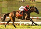 Spring House powers home in the Del Mar Handicap.<br><a target="blank" href="http://www.bloodhorse.com/horse-racing/photo-store?ref=http%3A%2F%2Fpictopia.com%2Fperl%2Fgal%3Fprovider_id%3D368%26ptp_photo_id%3D5636563%26ref%3Dstory">Order This Photo</a>