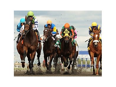 Moonshine Mullin wins the Victoria Park Stakes.