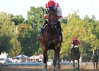 Top 2-Year-Old Spurious Precision Euthanized Top 2-Year-Old Spurious Precision Euthanized