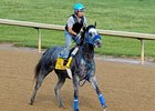 Creative Cause works at Churchill Downs 4/30/2012.
<br><a target="blank" href="http://photos.bloodhorse.com/TripleCrown/2012-Triple-Crown/Works/22611108_LR3wcn#!i=1821178181&k=mn4ptGL">Order This Photo</a>