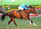 Get Stormy Strikes in Gulfstream Turf 'Cap Get Stormy Strikes in Gulfstream Turf 'Cap