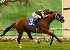 Global Hunter powers home in the Eddie Read.<br><a target="blank" href="http://www.bloodhorse.com/horse-racing/photo-store?ref=http%3A%2F%2Fpictopia.com%2Fperl%2Fgal%3Fprovider_id%3D368%26ptp_photo_id%3D8362996%26ref%3Dstory">Order This Photo</a>