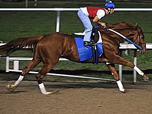 Curlin, Pyro Impressive in Workouts Curlin, Pyro Impressive in Workouts