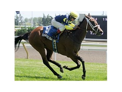 Barracks Road bounds away in the Ontario Damsel at Woodbine.