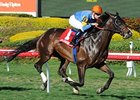 Newsdad powers home to victory in the Pan American.