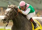 Midships look for his first grade I in the Charles Whittingham Memorial Handicap.<br><a target="blank" href="http://www.bloodhorse.com/horse-racing/photo-store?ref=http%3A%2F%2Fpictopia.com%2Fperl%2Fgal%3Fprovider_id%3D368%26ptp_photo_id%3D7930162%26ref%3Dstory">Order This Photo</a>
