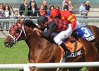 Jungle Wave won the Play the King Stakes in 2009.