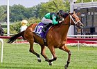 The Pizza Man won the 2014 Stars and Stripes by a half-length.