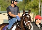Stakes winner Kera's Kitten is one of two WEBN entries for trainer Mike Maker.<br><a target="blank" href="http://www.bloodhorse.com/horse-racing/photo-store?ref=http%3A%2F%2Fpictopia.com%2Fperl%2Fgal%3Fprovider_id%3D368%26ptp_photo_id%3D8601540%26ref%3Dstory">Order This Photo</a>