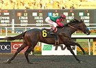 Tamarando rolls home to win the Real Quiet Stakes.
