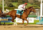 Sunshine Millions Classic winner Go Between is the horse to beat in the Ben Ali Stakes.<br><a target="blank" href="http://www.bloodhorse.com/horse-racing/photo-store?ref=http%3A%2F%2Fpictopia.com%2Fperl%2Fgal%3Fprovider_id%3D368%26ptp_photo_id%3D3398935%26ref%3Dstory">Order This Photo</a>
