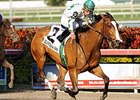 Forward Gal winner Pomeroys Pistol.<br><a target="blank" href="http://www.bloodhorse.com/horse-racing/photo-store?ref=http%3A%2F%2Fpictopia.com%2Fperl%2Fgal%3Fprovider_id%3D368%26ptp_photo_id%3D9388345%26ref%3Dstory">Order This Photo</a>